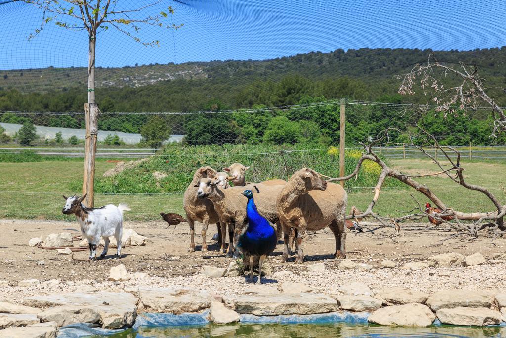 Lou Mas Li Pitchoun "Le Luberon " Βίλα Gordes Εξωτερικό φωτογραφία